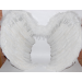  Крылья ангела белые перо+пух (60*45)